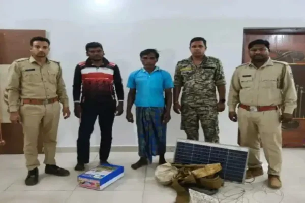 Elephant Calf Death: High-Level Cover-Up Exposed