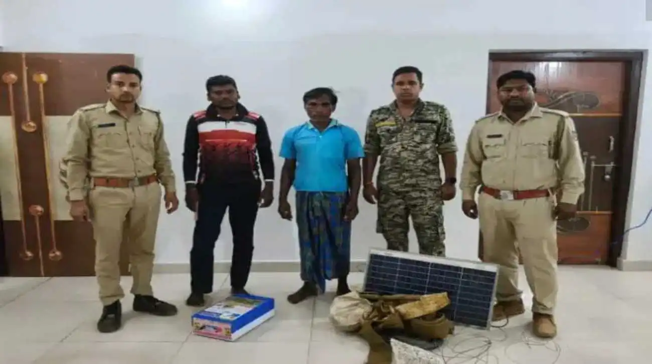 Elephant Calf Death: High-Level Cover-Up Exposed