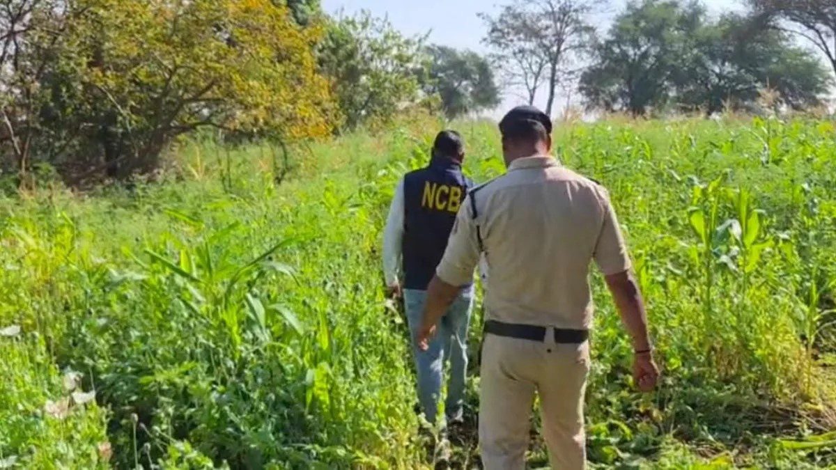 Opium Row: 29 Congress MLAs Suspended from Chhattisgarh Assembly