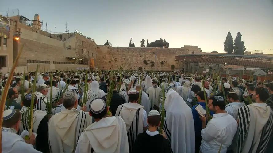 lulavim at kotel