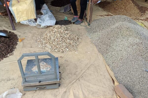 How 10-Rupee Salt Buys 1,000-Rupee Chironji in Bastar Markets