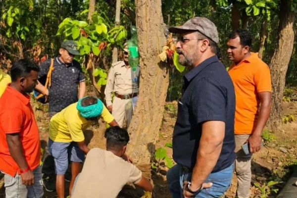 Chhattisgarh Appoints Veteran Officer Arun Kumar Pandey As Forest Chief 5 Chhattisgarh Appoints Veteran Officer Arun Kumar Pandey As Forest Chief