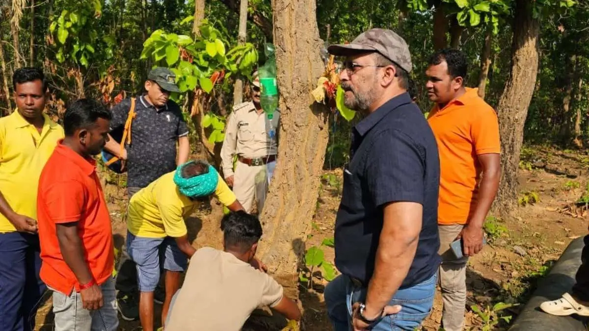 Chhattisgarh Appoints Veteran Officer Arun Kumar Pandey As Forest Chief