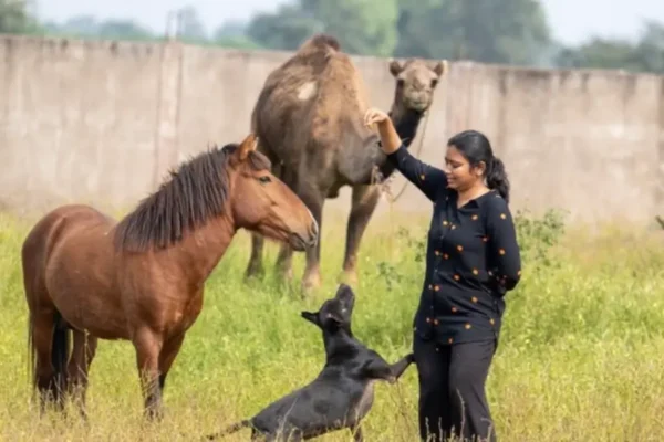 A Second Chance at Life: How Chhattisgarh’s Vatika Sanctuary is Healing the Voiceless 2 A Second Chance at Life: How Chhattisgarh’s Vatika Sanctuary is Healing the Voiceless