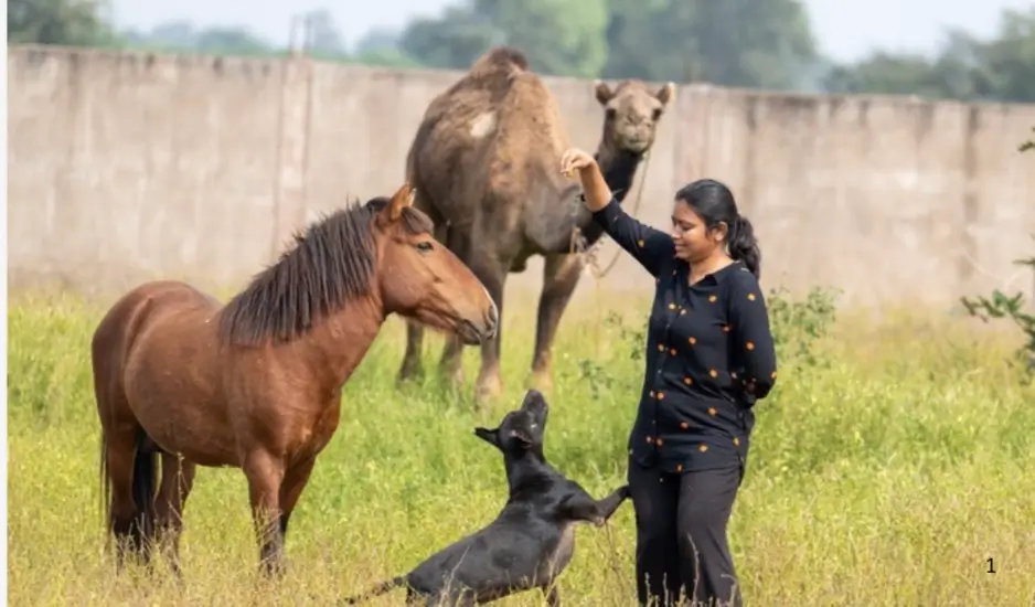 A Second Chance at Life: How Chhattisgarh’s Vatika Sanctuary is Healing the Voiceless