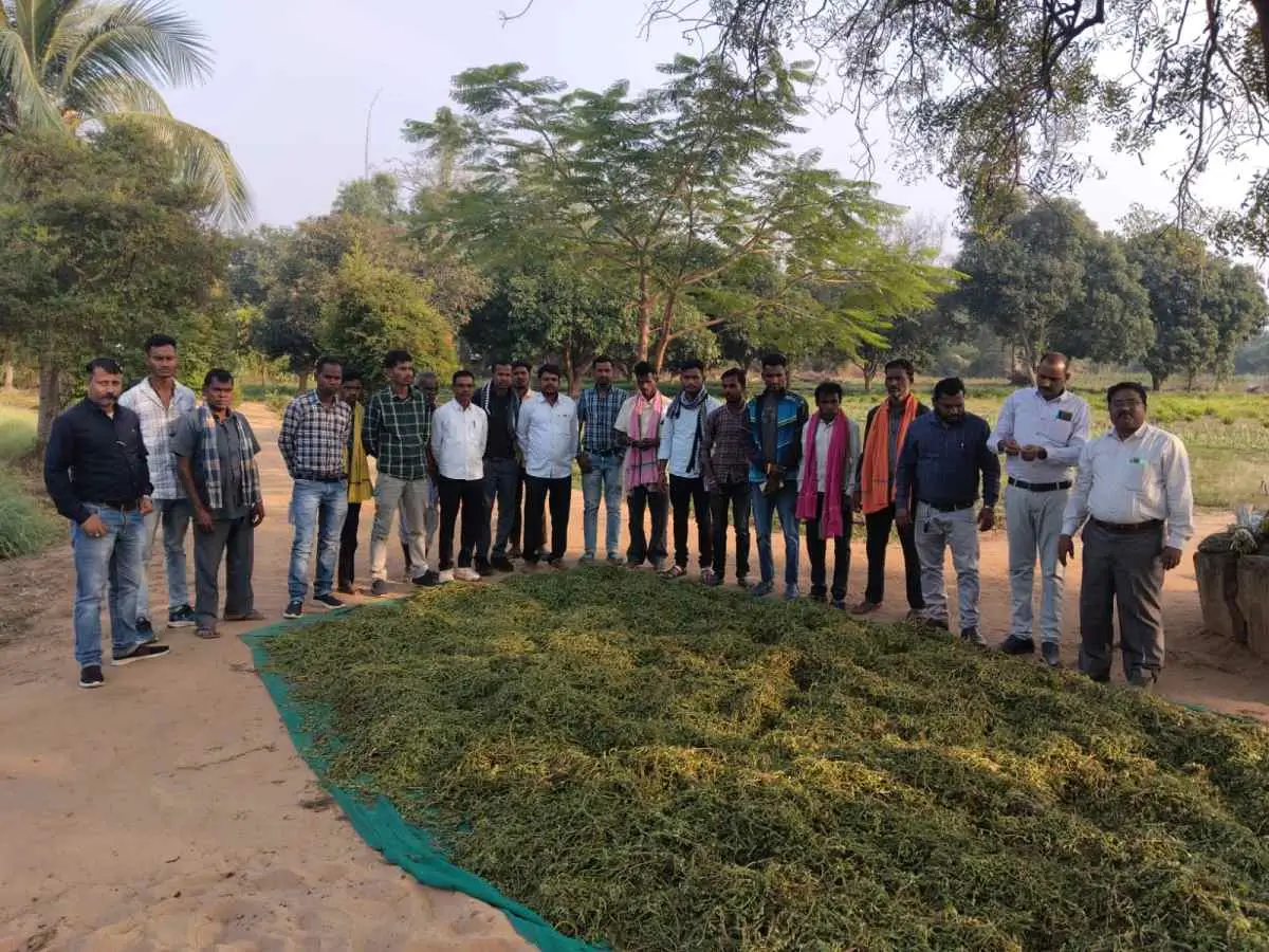 Chasing the Herbal State Vision: Honourable Forest Minister Kedar Kashyap Leads Initiative to Train 12,000 Farmers in Medicinal Cultivation