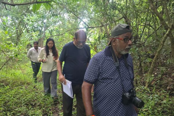 Chhattisgarh Scientific Survey Maps Bastar Tribal Medicinal Heritage