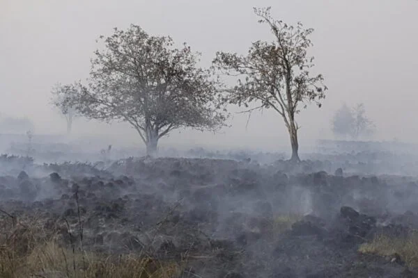 Belgium Battles Largest Wildfire on Record in High Fens