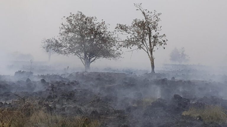 Belgium Battles Largest Wildfire on Record in High Fens