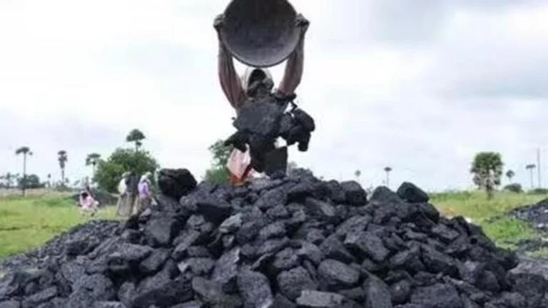 368,000 Trees on the Axe: The Bureaucratic Shell Game in Hasdeo