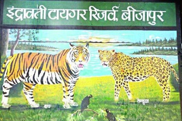 Indravati Tiger Reserve Opens for Tourists on Nov 1 After 40 Years 4 Indravati Tiger Reserve Opens for Tourists on Nov 1 After 40 Years